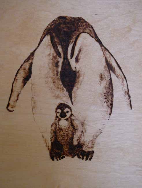 pingvin pirográfia